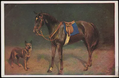 Horse and dog by O.G.Z.-L — digital art print download
