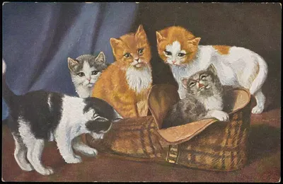 Kittens playing with a shoe by O.G.Z.-L — digital art print download