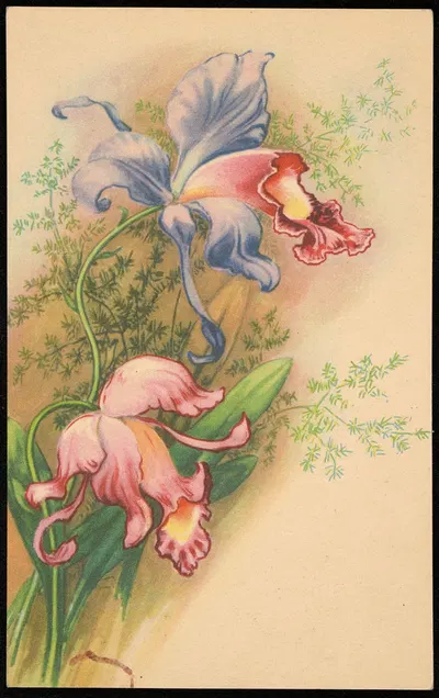 Орхидея by Изд. Фр. Карпович, 1939 — digital art print download