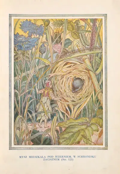 Мышь Мешка Под Щернем, В Убежище Тишины by Чеслав Кендзерский, 1938 — digital art print download