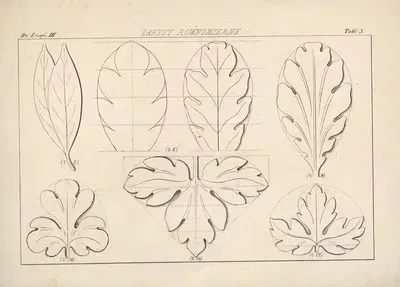 Узоры и уроки рисования (Patterns and drawing lessons) Том 1 Пл.04 by Ян Феликс Пиварский, 1865 — digital art print download
