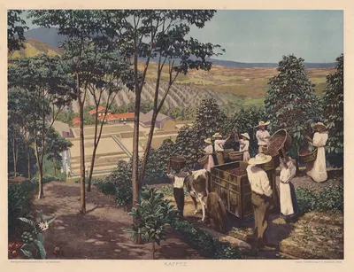 Kaffe by Fritz Dannenberg, 1911 — digital art print download