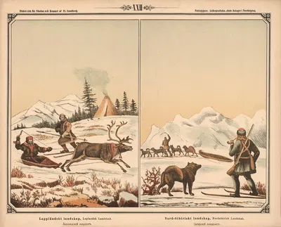 Лапландский пейзаж. Северо-сибирский пейзаж by Фредрик Сандберг, 1875 — digital art print download