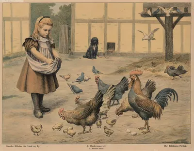 Hønsene fodres by Poul Steffensen, 1910 — digital art print download