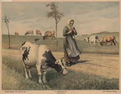 Køer på græs by Poul Steffensen, 1910 — digital art print download