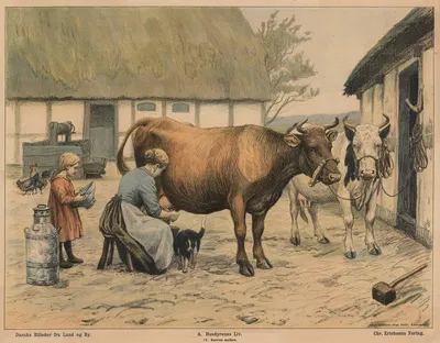 Køerne malkes by Poul Steffensen, 1910 — digital art print download