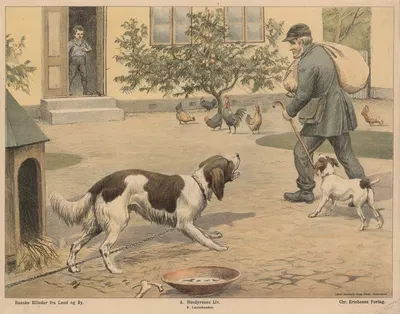 Lænkehunden by Poul Steffensen, 1910 — digital art print download