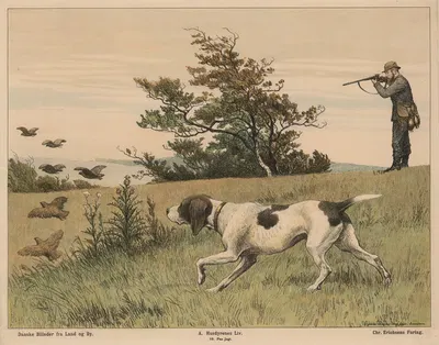 På jagt by Poul Steffensen, 1910 — digital art print download