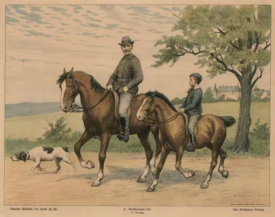 Til hest by Poul Steffensen, 1910 — digital art print download