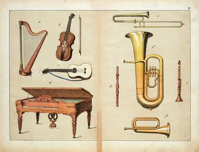 Musical instruments by D. Englert, 1867 — digital art print download