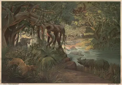 Тропический регион (Конго) by Фредерик Уго д’Алези, 1905 — digital art print download