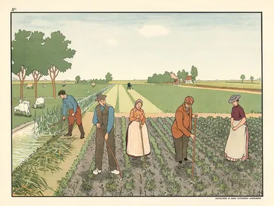 Прополка поля by Лит. Дж. Беерта, 1904 — digital art print download