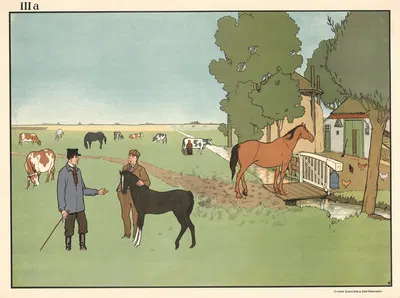 Сельскохозяйственные животные by Лит. Дж. Беерта, 1904 — digital art print download