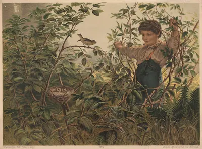 Boy and bird's nest by Otto Speckter, 1880 — digital art print download