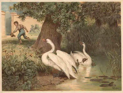 Swans by Otto Speckter, 1880 — digital art print download