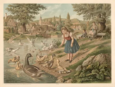 Geese and ducks by Otto Speckter, 1880 — digital art print download