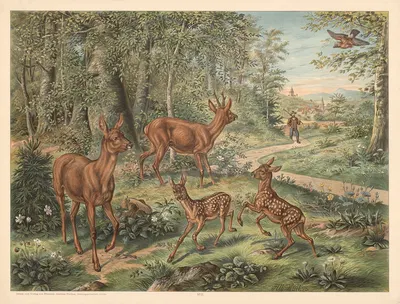 Deer by Otto Speckter, 1880 — digital art print download
