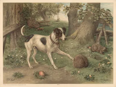 Dog and hedgehog by Otto Speckter, 1880 — digital art print download