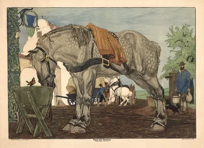 Horse and Sparrow by Paul Horst-Schulze, 1911 — digital art print download