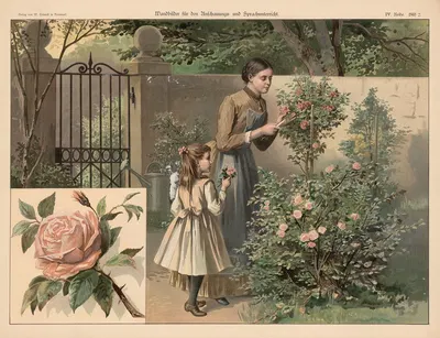 Роза by В. Крювел, 1888 — digital art print download