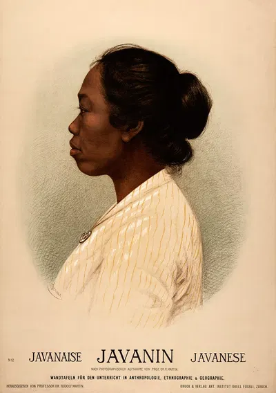 Яванец by В. Стейнер, 1905 — digital art print download