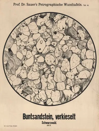 Пестрый песчаник, силифицированный. Черный лес by Адольф Заур, 1907 — digital art print download