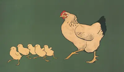 Hen & chickens by Lawrence & Bullen, 1901 — digital art print download