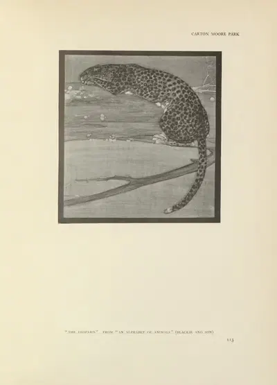 The leopard – an alphabet of animals by Carton Moore Park, 1914 — digital art print download
