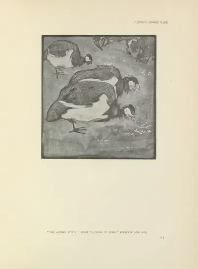 The guinea fowl – A book of birds by Carton Moore Park, 1914 — digital art print download