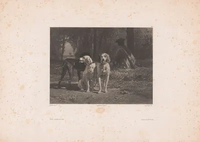 Chiens courants au repos by Eugène Leroux, 1855-1856 — digital art print download