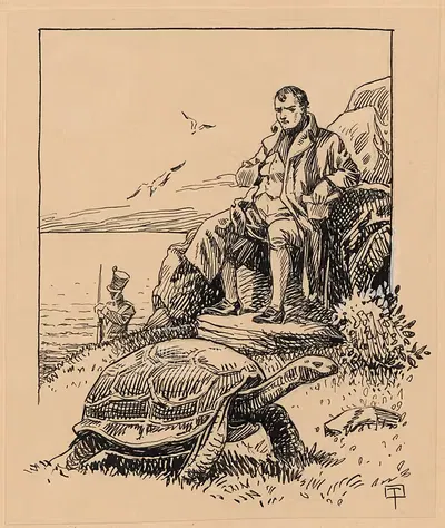 Мужчина сидит на камне и наблюдает за черепахой by Георг Тормер, 1925 — digital art print download