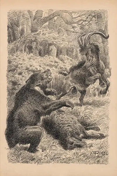 Медведь и козел дерутся by Карл Хансен Рейстрюп, 1926 — digital art print download