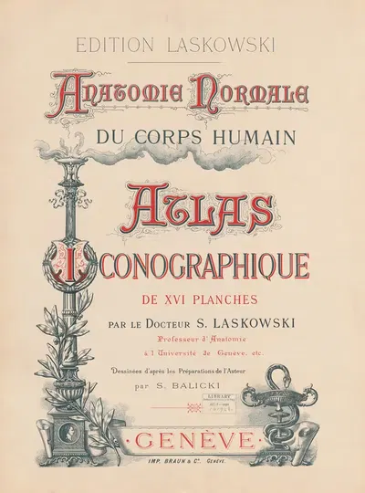 Anatomie normale du corps humain Pl.01 by Sigismond Laskowski, 1894 — digital art print download