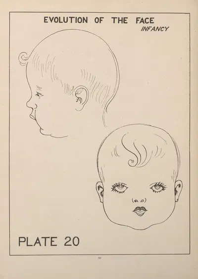 Evolution of the Face—Infancy by Edward Drosen, 1924 — digital art print download