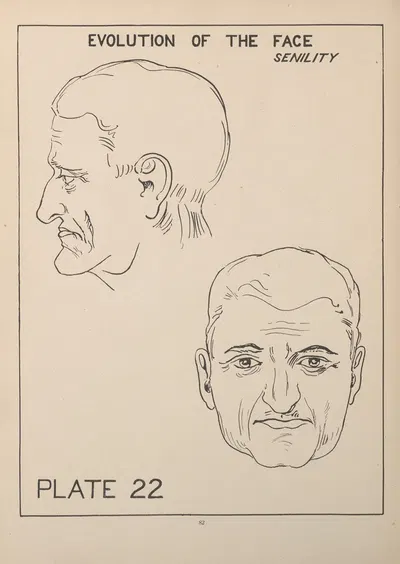 Evolution of the Face—Senility by Edward Drosen, 1924 — digital art print download