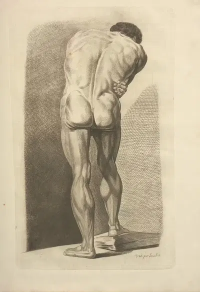Nouveau recueil d'ostéologie et de myologie; dessiné d'après nature Pl.50 by Jacques Gamelin, 1779 — digital art print…