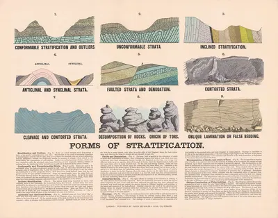 Forms of Stratification by James Reynolds, 1878 — digital art print download