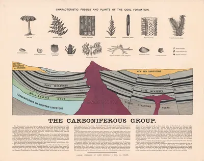 The Carboniferous Group by James Reynolds, 1878 — digital art print download