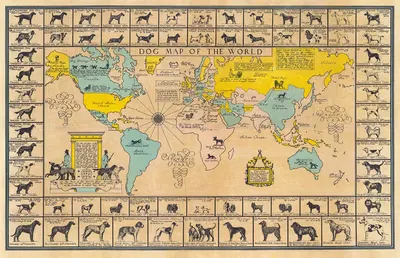 Dog Map of the World. by Joseph Patterson Sims, 1933 — digital art print download