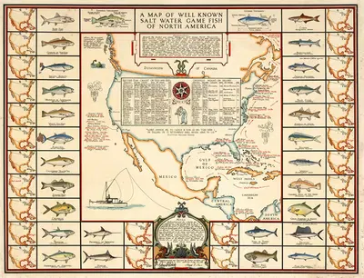Map of Well Known Salt Water Game Fish of North America. by Joseph Patterson Sims, 1936 — digital art print download