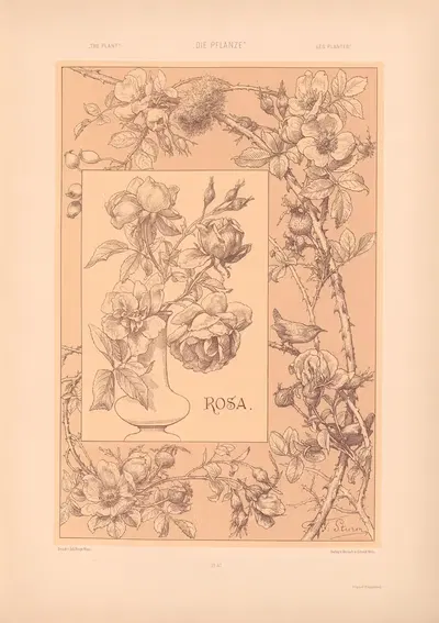 Die Pflanze in Kunst und Gewerbe (The Plant in Art and Industry) Pl.038 by Антон Седер, 1886 — digital art print download