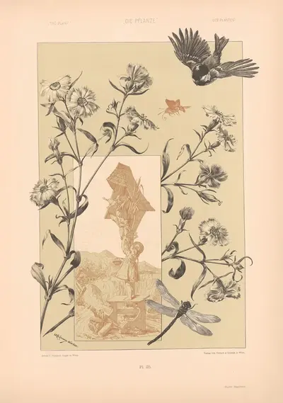 Die Pflanze in Kunst und Gewerbe (The Plant in Art and Industry) Pl.186 by Антон Седер, 1886 — digital art print download