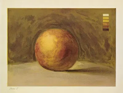 An Orange by Caroline West Van Helden, 1912 — digital art print download