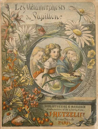 Les métamorphoses du papillon Pl.01 by Charles-Émile Matthis, 1878 — digital art print download