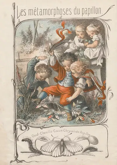 Les métamorphoses du papillon Pl.02 by Charles-Émile Matthis, 1878 — digital art print download