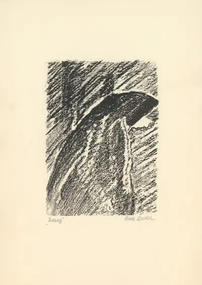 Lichtzeichnungen Pl.12 by Erwin Quedenfeldt, 1919 — digital art print download