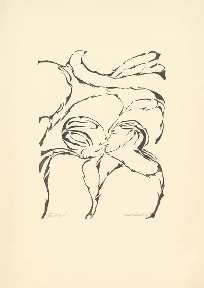 Lichtzeichnungen Pl.13 by Erwin Quedenfeldt, 1919 — digital art print download