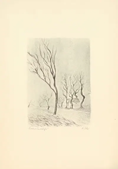 Lichtzeichnungen Pl.17 by Erwin Quedenfeldt, 1919 — digital art print download