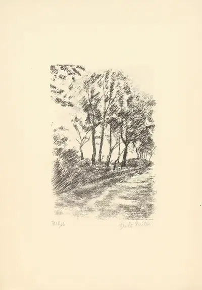 Lichtzeichnungen Pl.21 by Erwin Quedenfeldt, 1919 — digital art print download