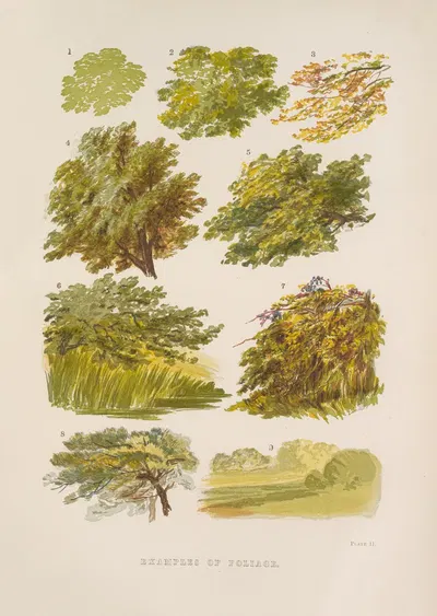 Examples of Foliage by George Barnard, 1885 — digital art print download